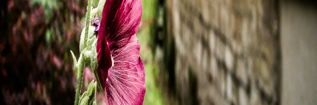 image-location-spa-a-domicile-eragny.webp Image Location spa à domicile Éragny