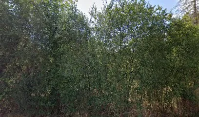 Image de O'tiwenn Zen